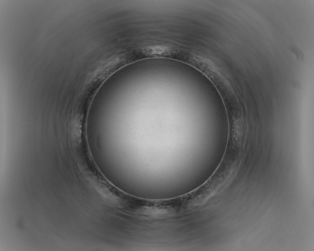 X0000115800545200911131401