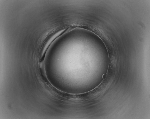 X0000115800547200911131401