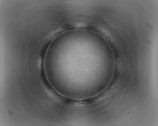 X0000115800550200911131401
