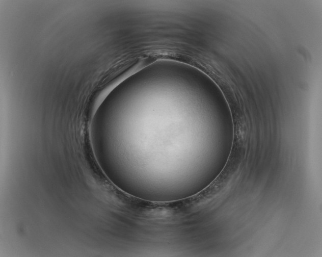 X0000115800551200911131401