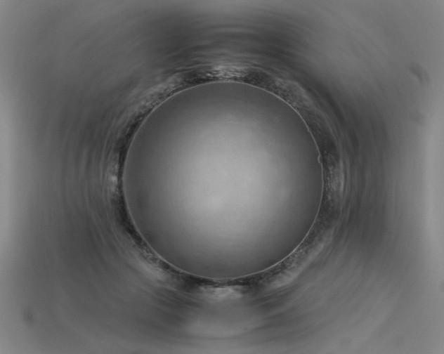 X0000115800553200911131401
