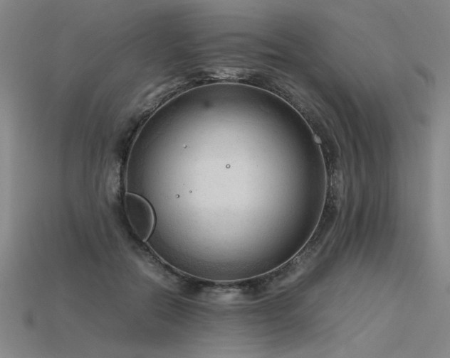 X0000115800554200911131401