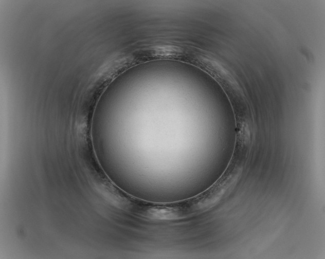 X0000115800557200911131401