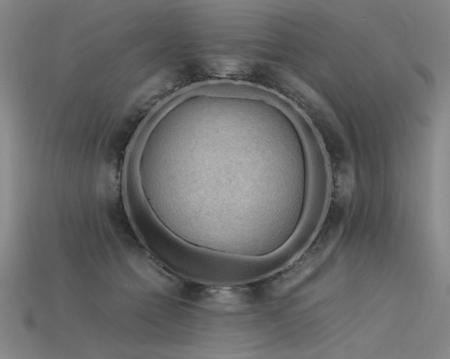 X0000115800558200911131401