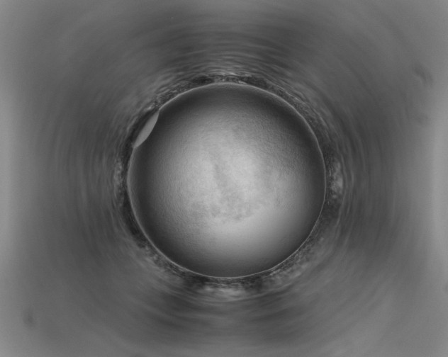 X0000115800559200911131401