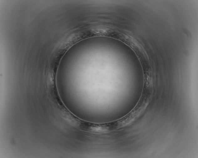 X0000115800561200911131402