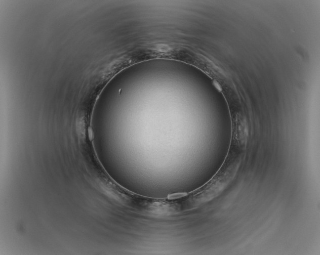 X0000115800562200911131402