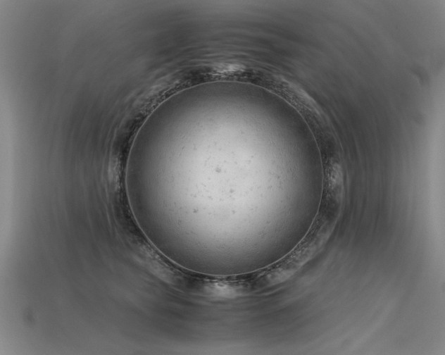 X0000115800565200911131402