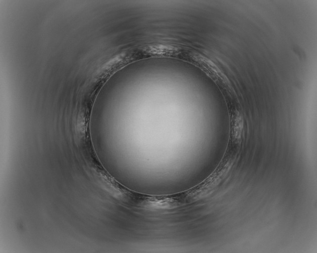 X0000115800569200911131402