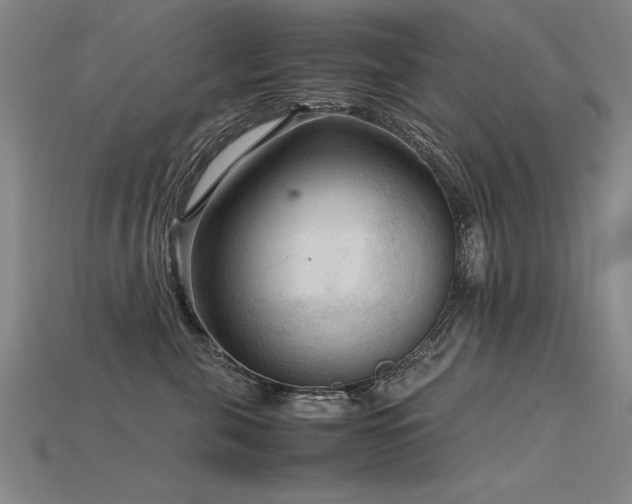 X0000115800571200911131402