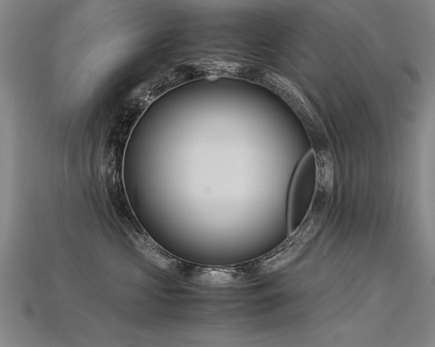 X0000115800573200911131402