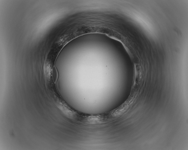 X0000115800574200911131402