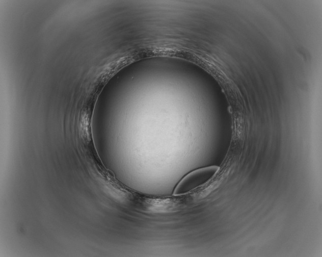 X0000115800575200911131402