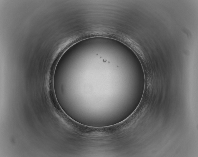X0000115800578200911131401