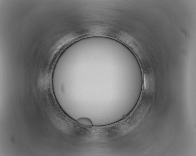 X0000115800579200911131401