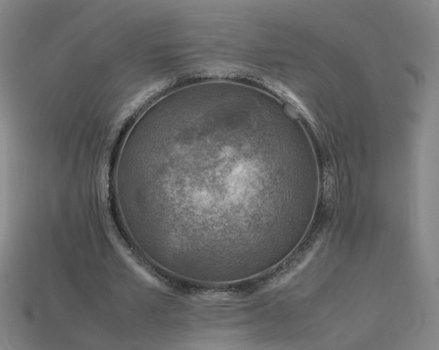 X0000115800581200911131401