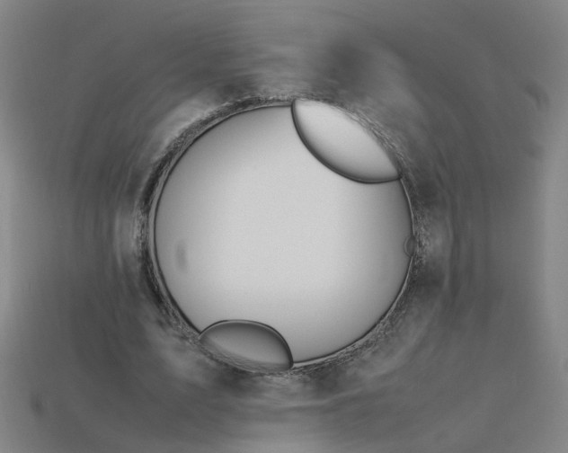 X0000115800583200911131401
