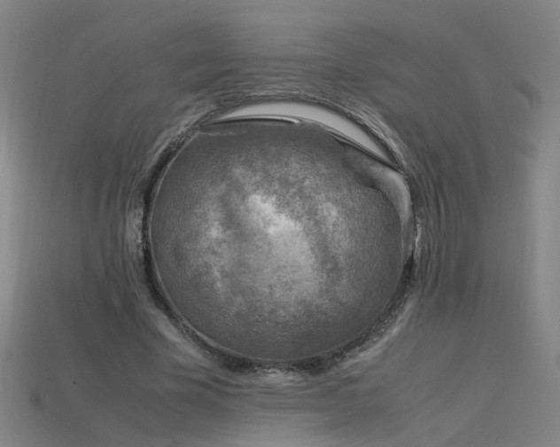 X0000115800585200911131401