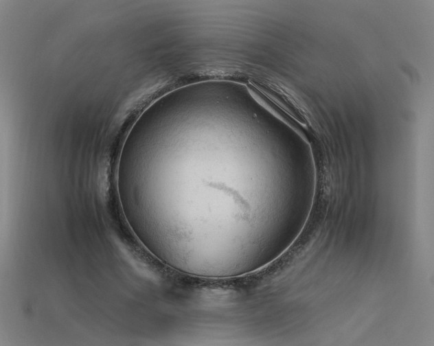 X0000115800586200911131401