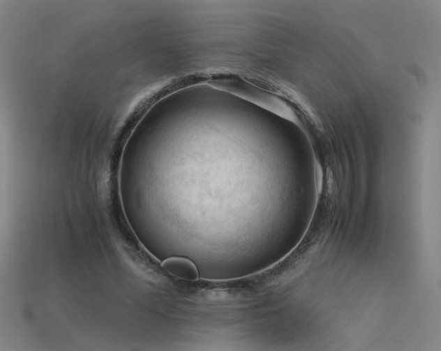 X0000115800588200911131401