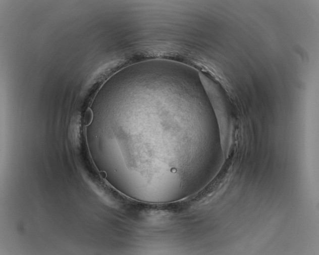 X0000115800590200911131401