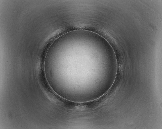 X0000115800591200911131401