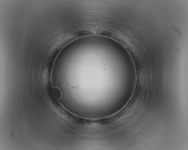 X0000115800594200911131401