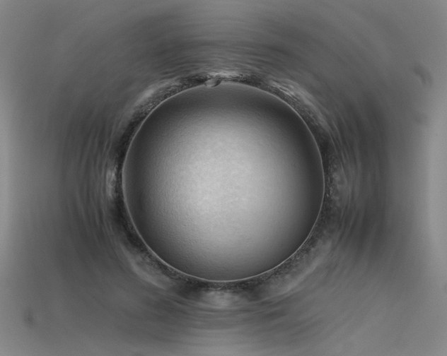 X0000115800596200911131401
