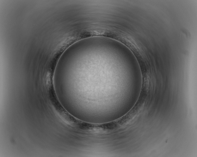 X0000115800598200911131401