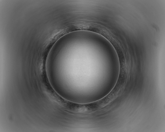 X0000115800600200911131401