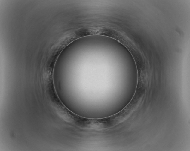 X0000115800601200911131401