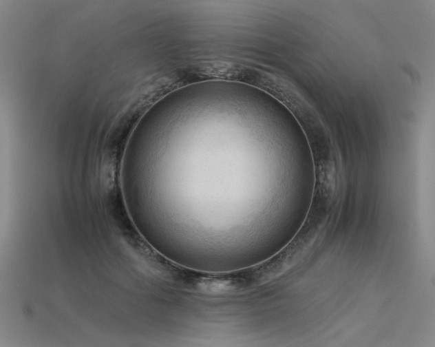 X0000115800602200911131401