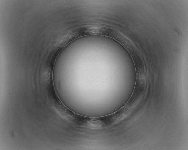 X0000115800603200911131401