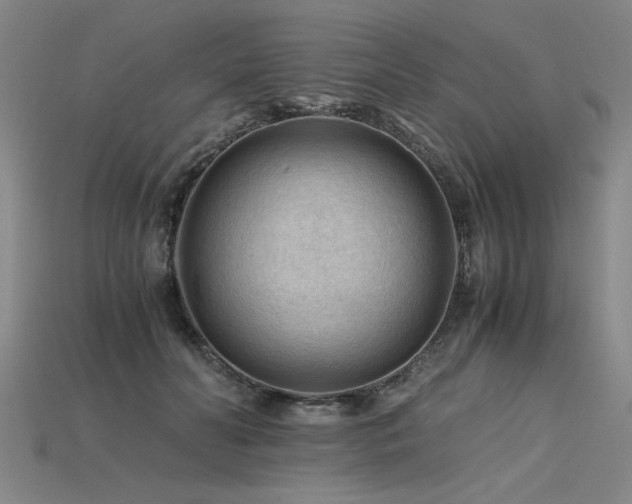 X0000115800606200911131401