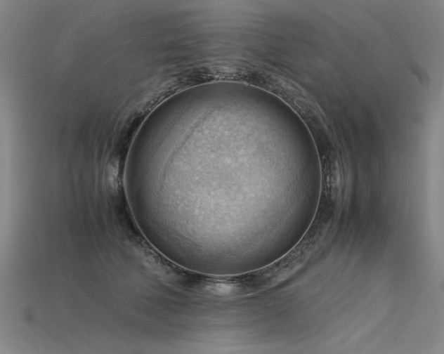 X0000115800610200911131401