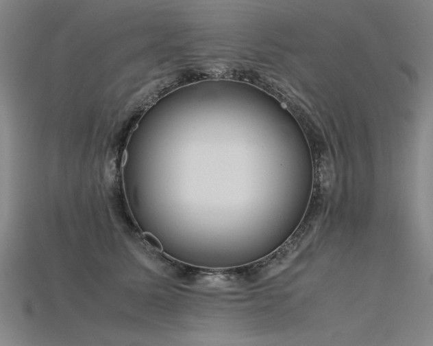 X0000115800611200911131401