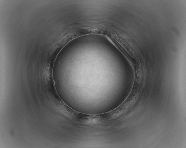 X0000115800612200911131401