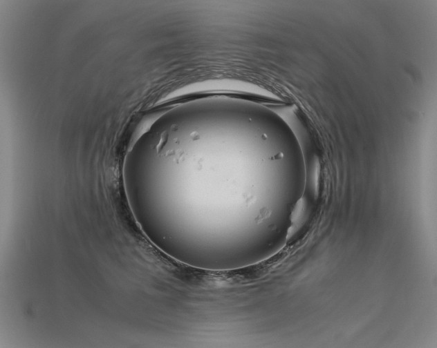 X0000115800613200911131401