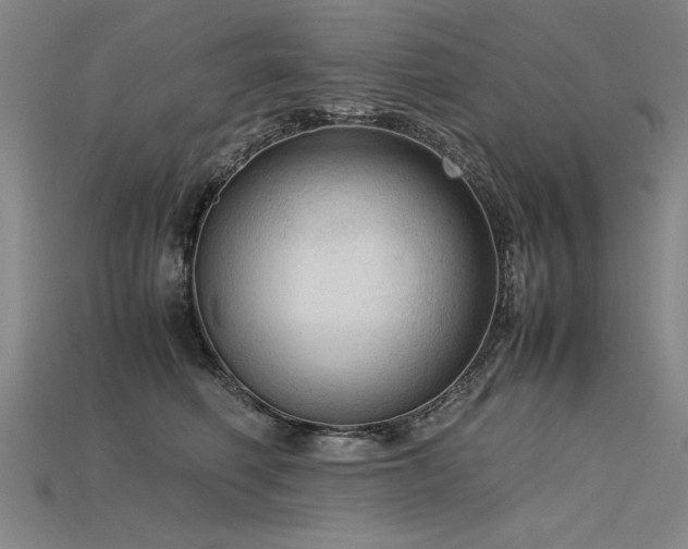 X0000115800614200911131401