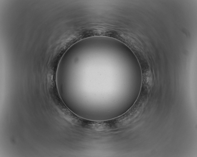 X0000115800615200911131401