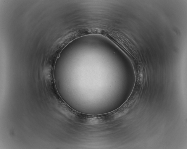 X0000115800616200911131400