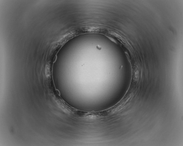 X0000115800620200911131400
