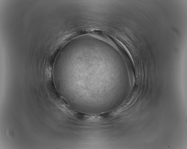 X0000115800621200911131400