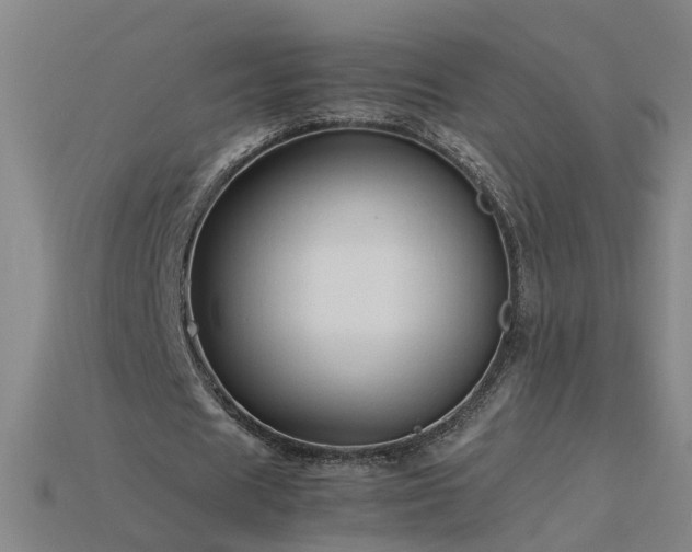 X0000115800625200911131400