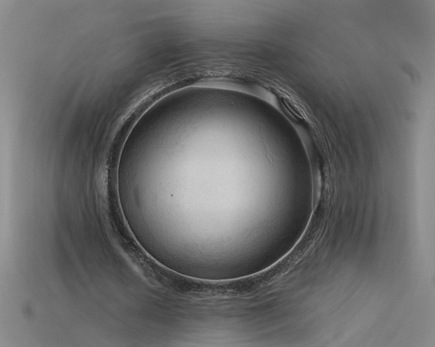 X0000115800626200911131400