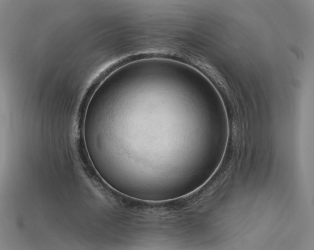 X0000115800628200911131400