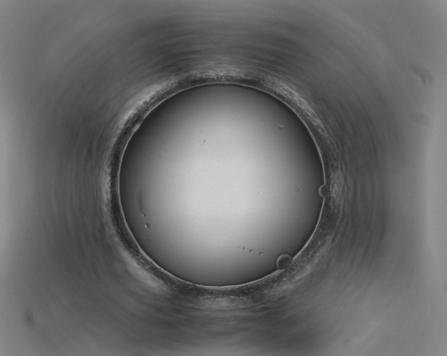 X0000115800629200911131400