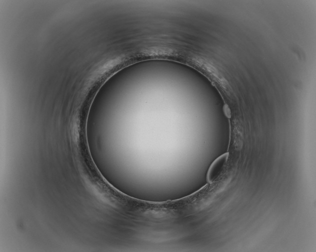 X0000115800631200911131400