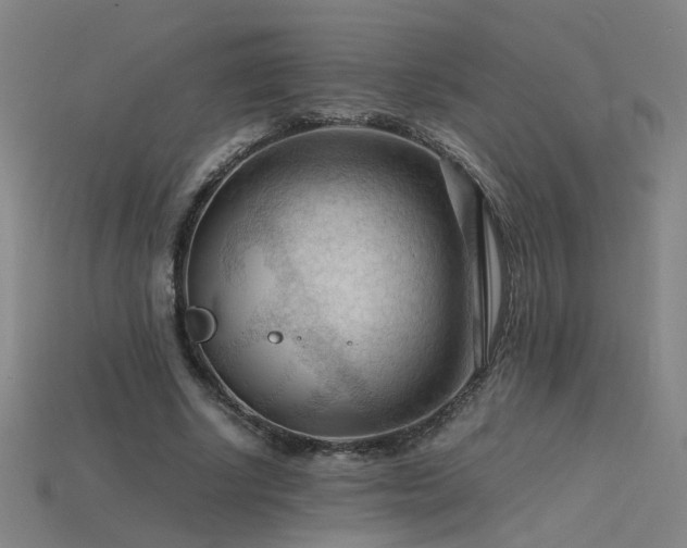 X0000115800634200911131400