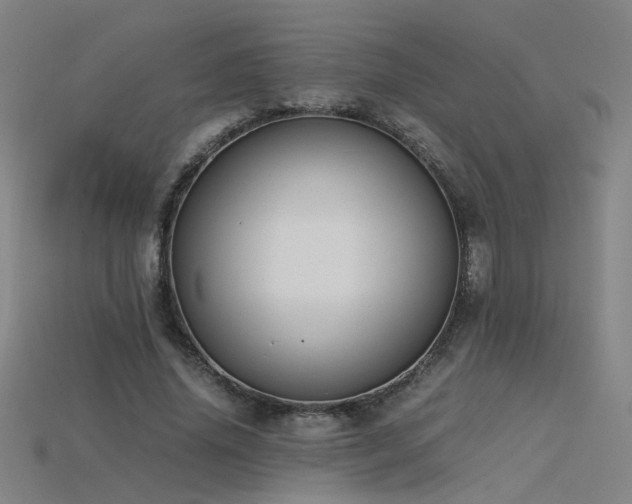 X0000115800636200911131400